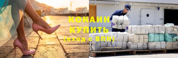 стафф Россошь